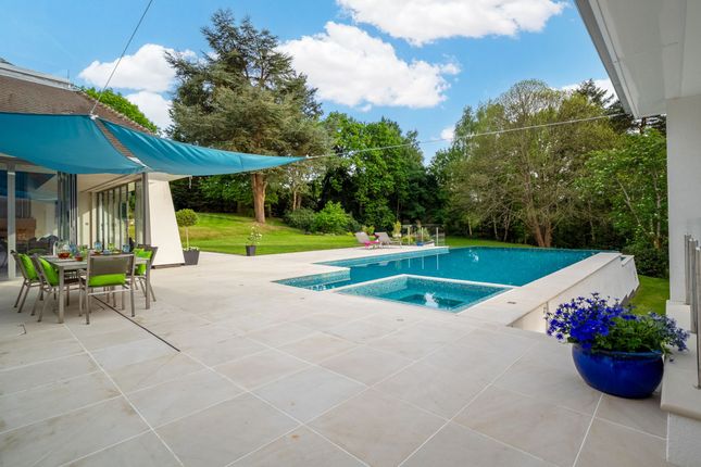Swimming Pool View