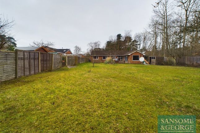 Thumbnail Bungalow for sale in Pelican Road, Pamber Heath, Tadley, Hampshire