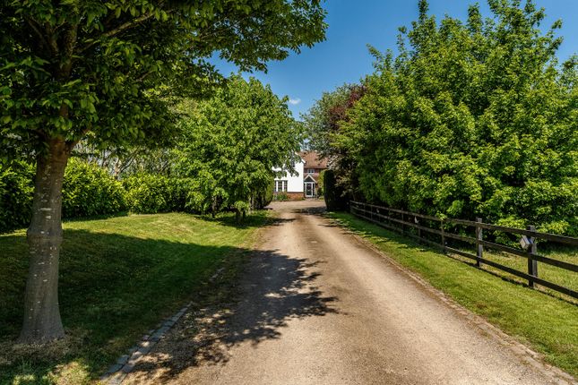 Hoe Hill Cottage 113