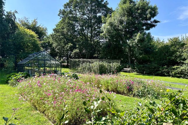 Kitchen Garden