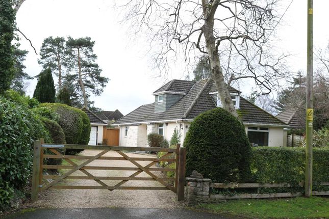 Detached house for sale in Abbey Road, West Moors, Ferndown