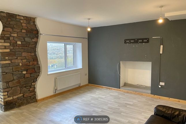 Lower Brynamman, Ammanford photo 2