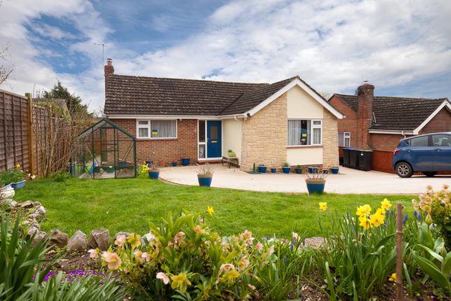 Thumbnail Detached bungalow for sale in Porton, Salisbury
