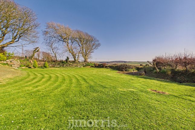 Clyn Bach, Tynewydd,, Fishguard photo 3