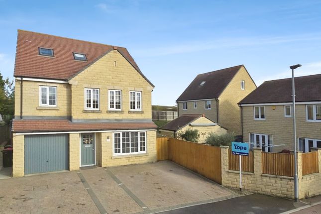 B8B35d11-Photo-2025-10-25-12-17-14 5B5 5Dnew2