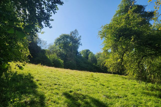 Land for sale in Hawkley, Liss