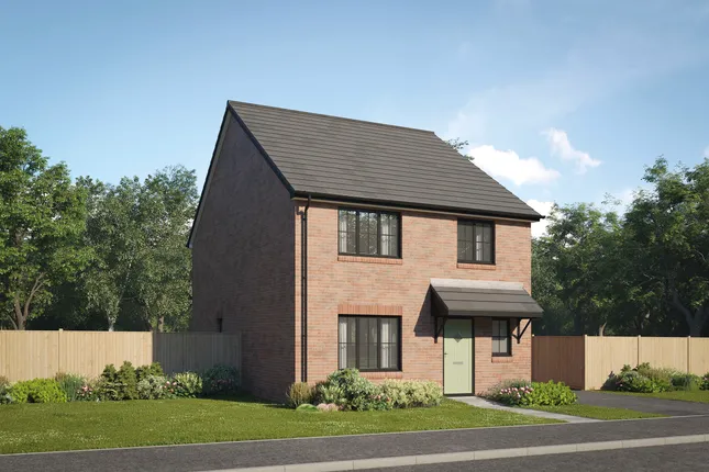 Property 1 of 12. CGI