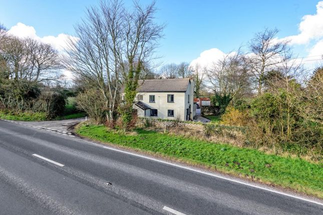 Thumbnail Detached house for sale in Offwell, Honiton, Devon