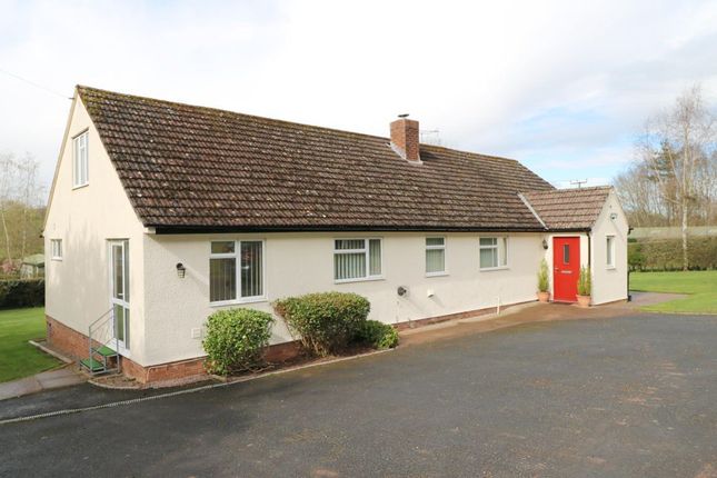 Thumbnail Bungalow to rent in Peterchurch, Hereford