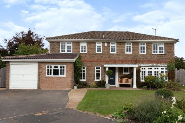 Thumbnail Detached house for sale in The Mead, Old Basing, Basingstoke, Hampshire