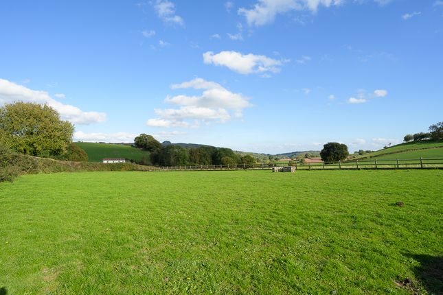 Wayside, Ross-on-Wye photo 3