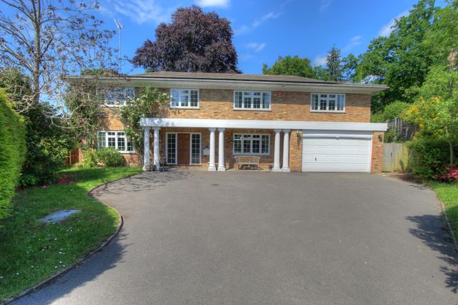 Thumbnail Detached house for sale in Armitage Court, Ascot