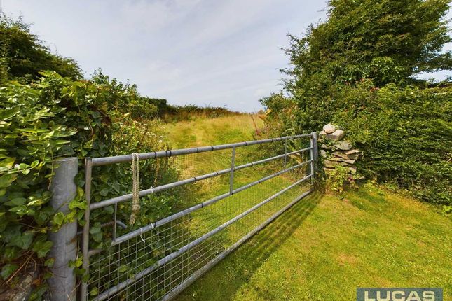 Gate To Elevated Paddock