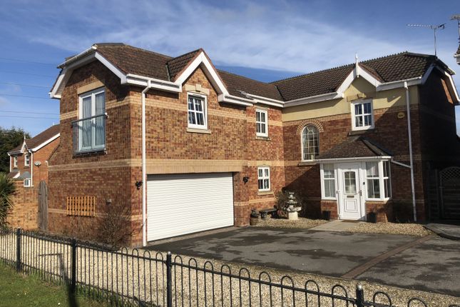 Thumbnail Detached house for sale in Ferry Road West, Scunthorpe