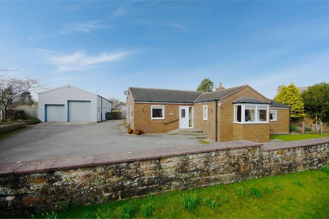 Cumbria bungalows for sale | Buy houses in Cumbria | PrimeLocation