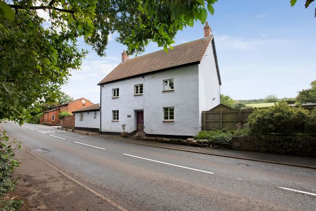 Barnsfield House, South Town, Kenton photo 2