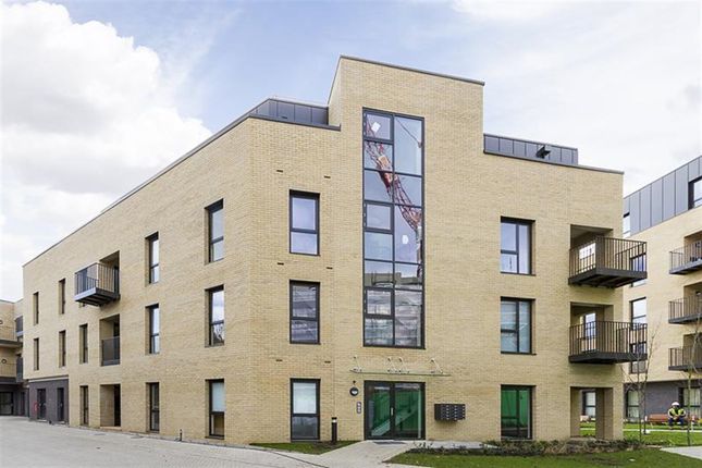 External