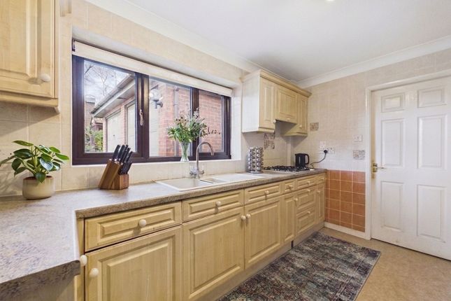 29 Conway Road, Nottingham photo 3
