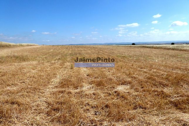 Land for sale in 570 000 Sq. m. Of Agricultural Land For Dry Farming, Portugal