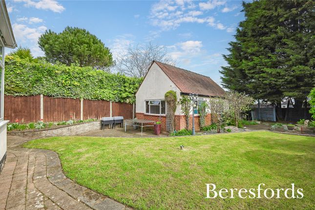 Detached house for sale in Priests Lane, Shenfield