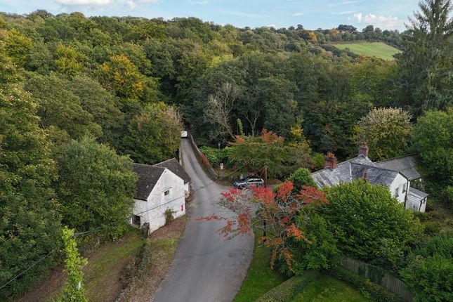 ., Gelligroes Mill, Blackwood photo 4