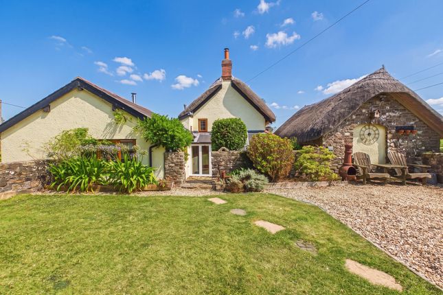 1 Cramphay Cottages, Crediton photo 4
