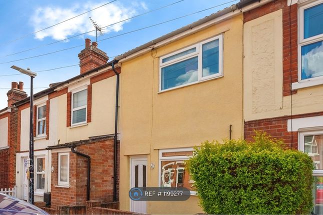 Thumbnail Terraced house to rent in Lisle Road, Colchester