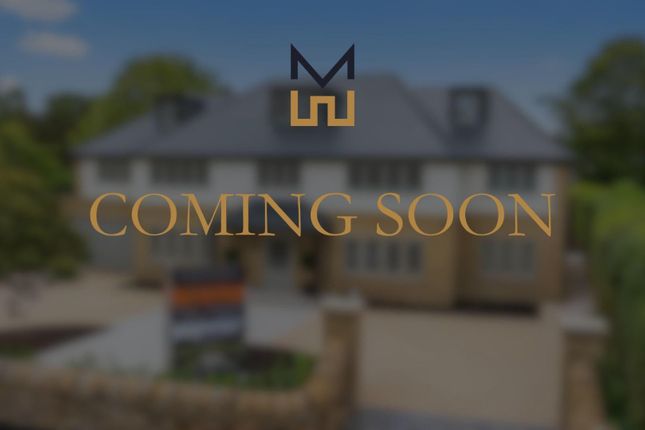 Coming Soon.Jpg