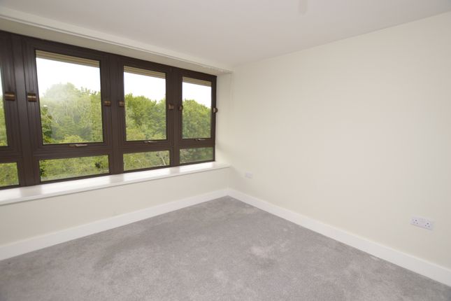 Catteshall Lane, Surrey photo 5