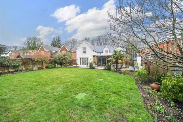 Thumbnail Detached house to rent in Meadowbank, Sparsholt, Winchester