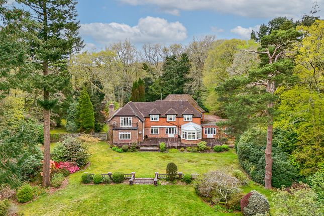 Thumbnail Detached house for sale in Picket Hill, Ringwood, Hampshire