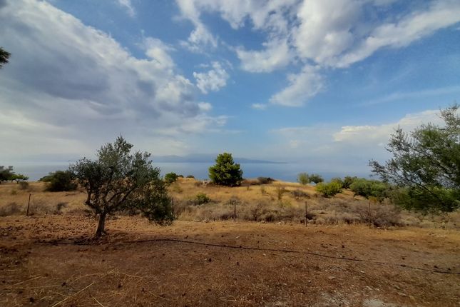 Land for sale in Akrata 250 06, Greece