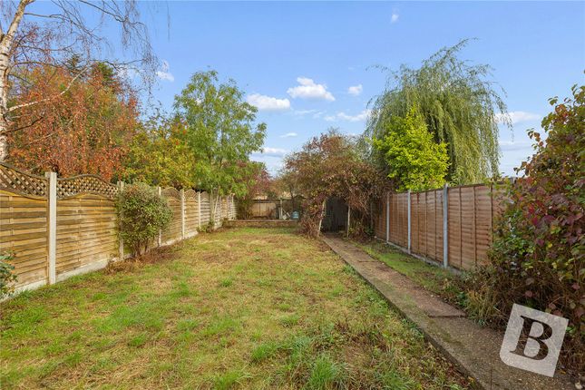Buller Road, Essex photo 4