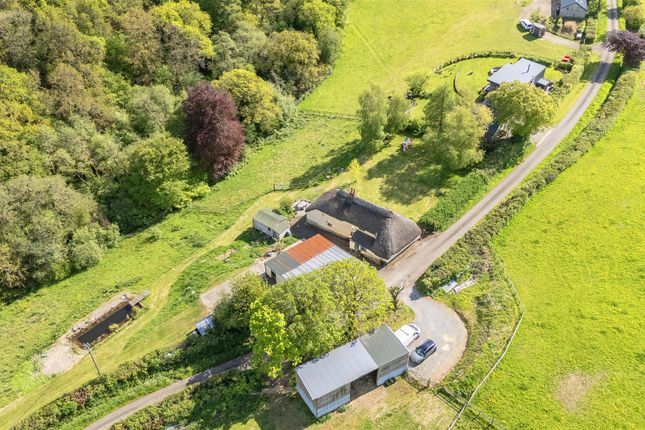 Fursham Down Farm, Crediton photo 2