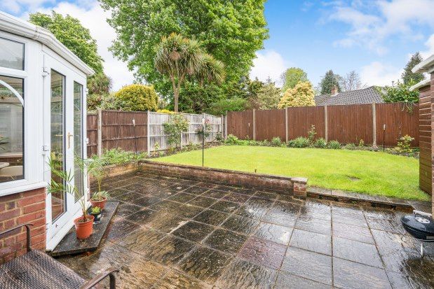 Semi-detached bungalow to rent in Chelwood Close, Epsom