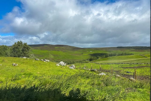 Craggie Beg,53, Rogart photo 5