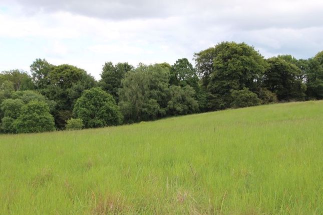 Land for sale in Glasgow Road, Glasgow