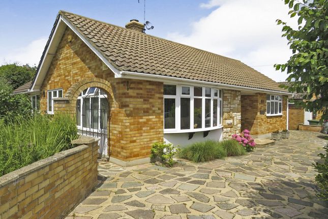 Thumbnail Detached bungalow for sale in Trinity Road, Billericay