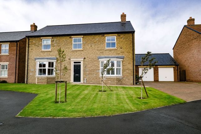 Thumbnail Detached house for sale in Knights Road, Morpeth