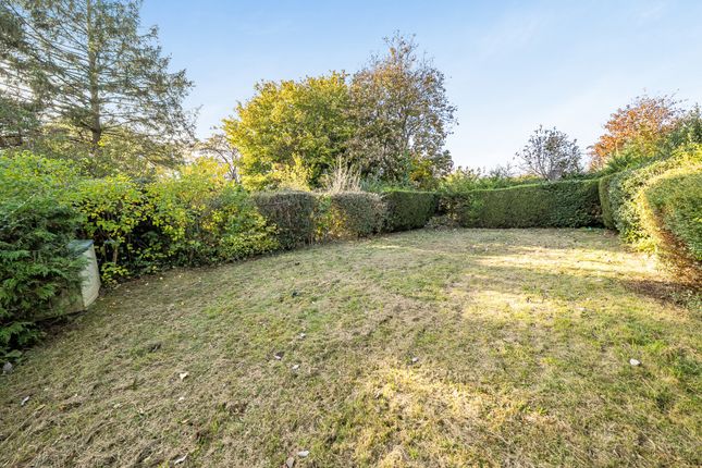 Down View, Stroud photo 3