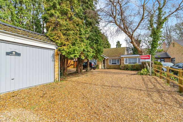 Thumbnail Detached bungalow for sale in The Dell, Reach Lane, Heath And Reach, Leighton Buzzard