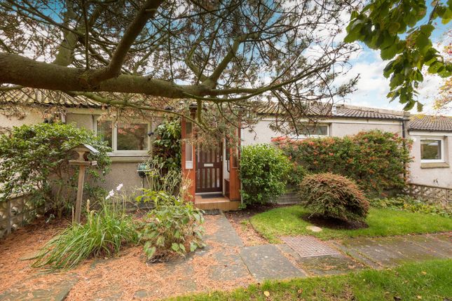 Thumbnail Terraced bungalow for sale in 6 The Finches, Gullane