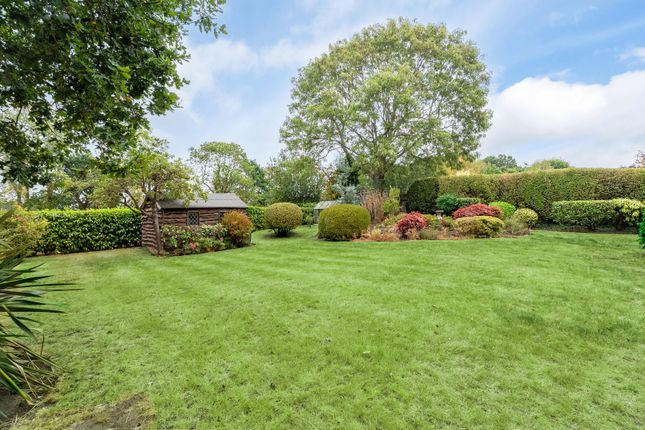 4, Grove Heath North, Woking photo 4