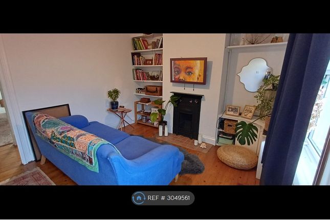 Chelmsford photo 3