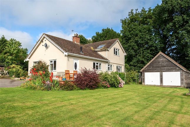 Detached house to rent in Old Taunton Road, Dalwood, Axminster, Devon
