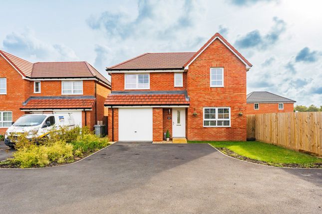 Thumbnail Detached house for sale in Buckle Way, Rackheath