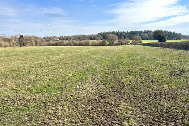 Land for sale in Lot 2 Land At Terwick Lane, Trotton, West Sussex