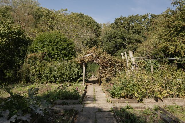 312527 - 10 High St, Toft-2-2.Jpg