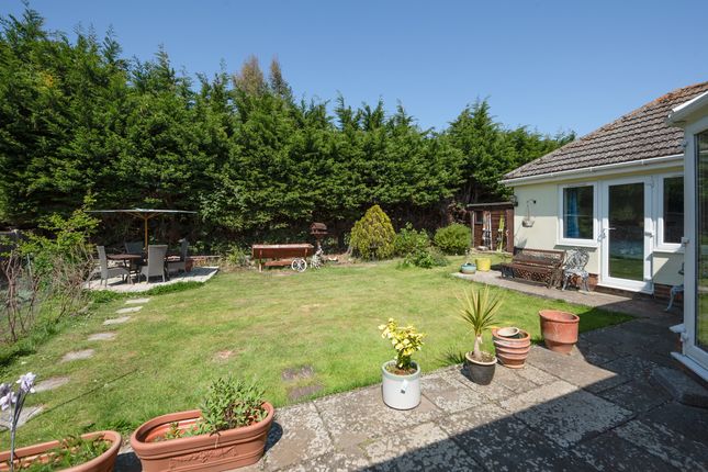 6 Willow Way, Whitstable photo 2