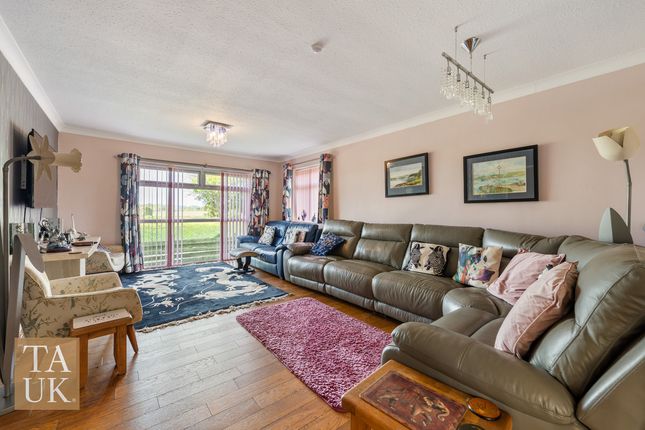 Y Wern, Llanfairpwllgwyngyll photo 4